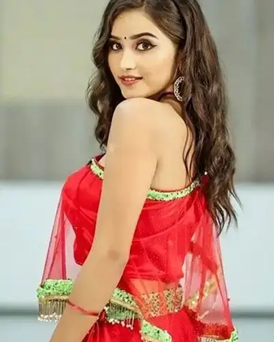Call Girls Service Siwana